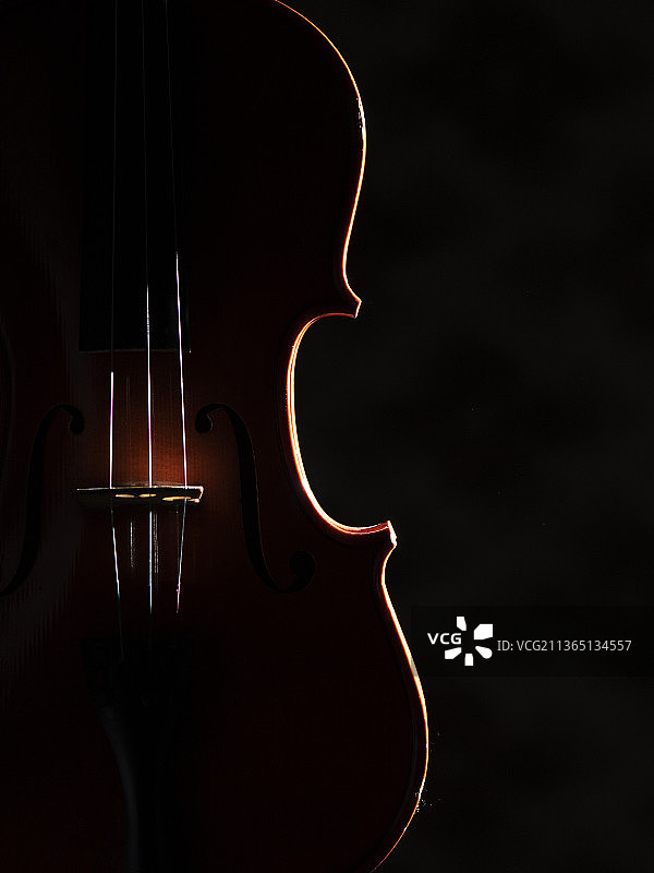 黑色背景上的小提琴特写图片素材