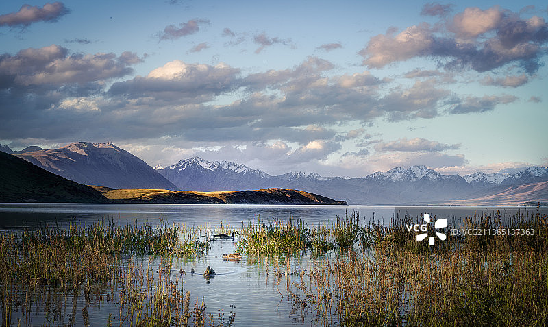 新西兰特卡波湖多云日落湖光山色图片素材