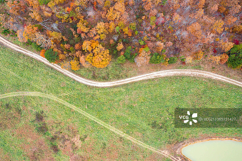 美国密苏里州秋季树木中的道路航拍图片素材