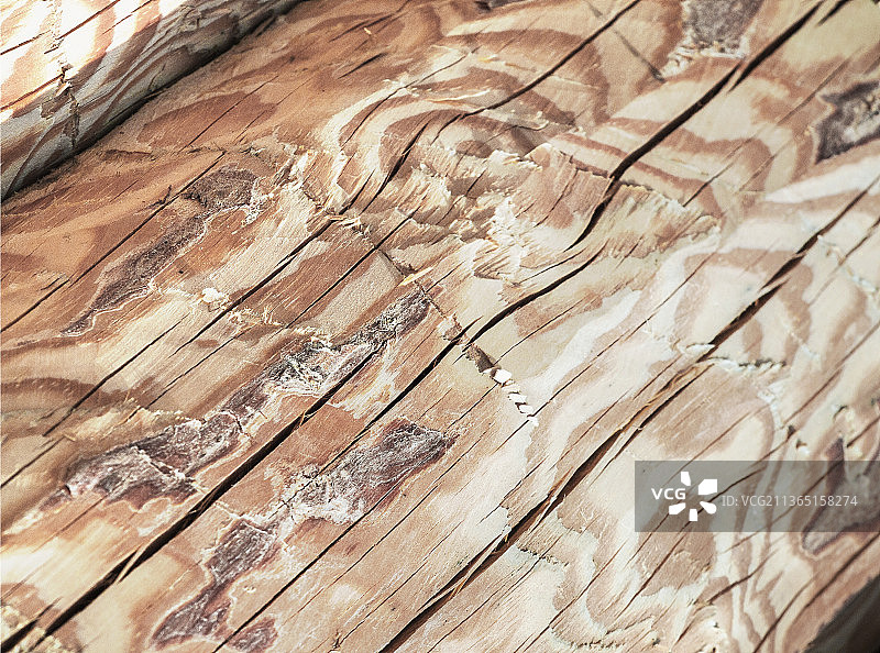 松木原木特写镜头，风化木材的完整画面图片素材