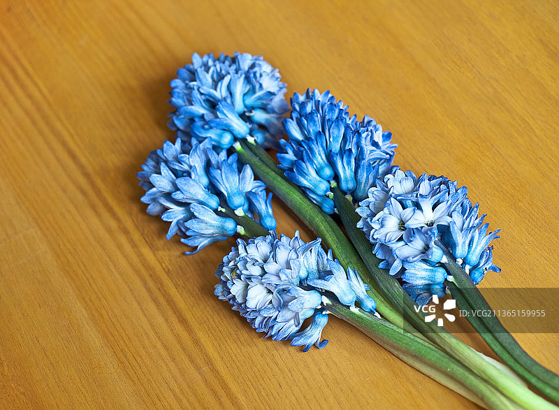 桌上紫色风信子花朵高角度视图图片素材