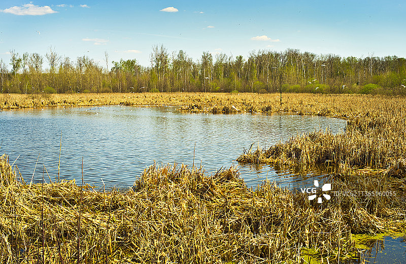 湖光山色风光照片图片素材