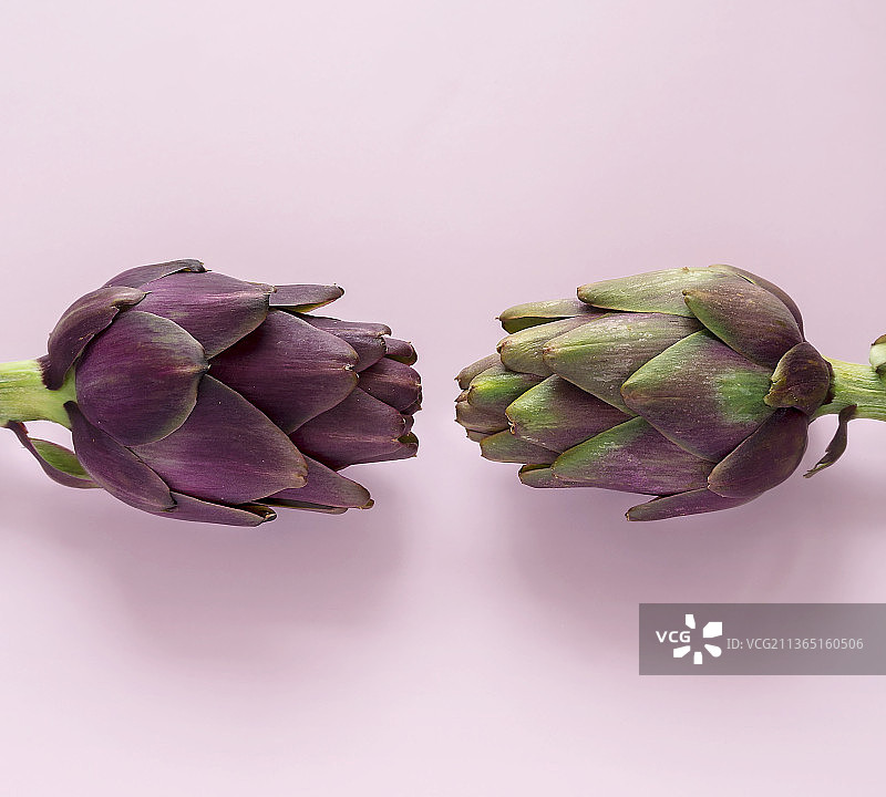 朝鲜蓟，火龙果特写，粉色背景图片素材