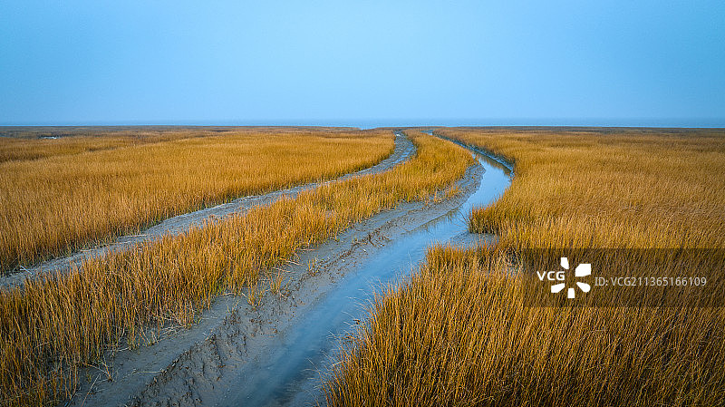 盐城黄海湿地保护区图片素材