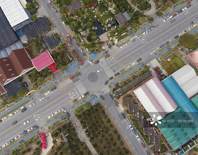 陈村花卉世界（小镇）花卉大道图片素材