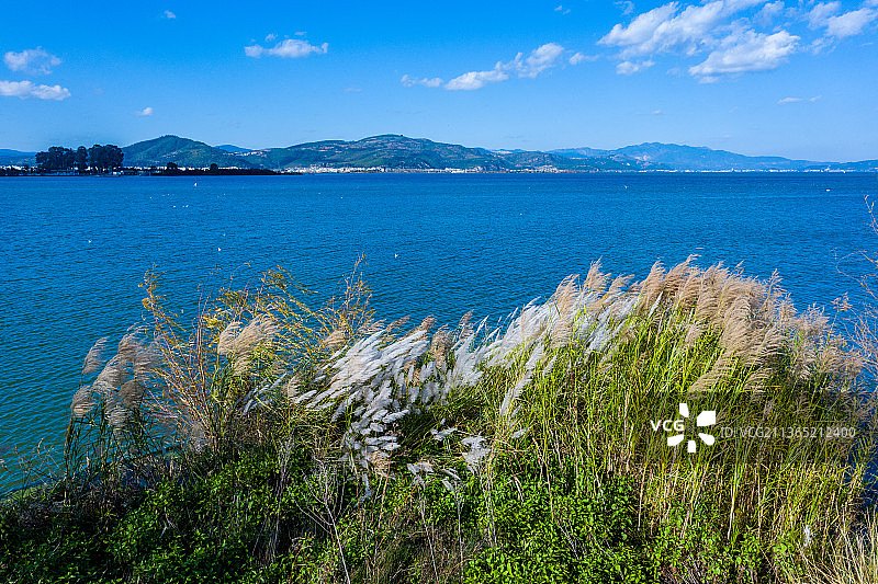 云南省玉溪市江川区星云湖国家湿地公园图片素材
