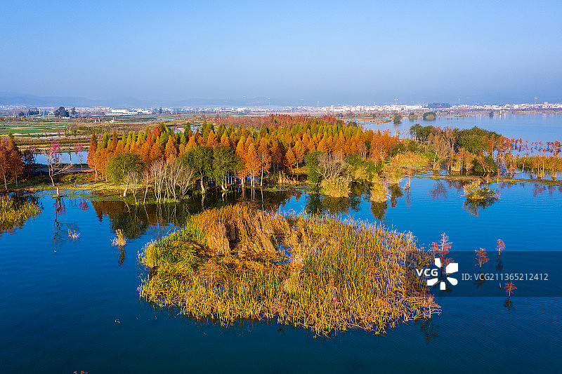 云南省玉溪市江川区星云湖国家湿地公园图片素材