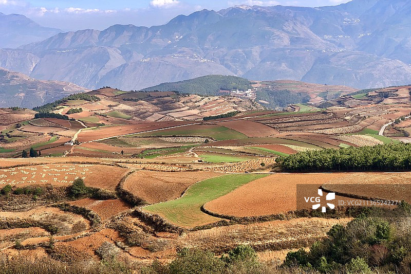 云南东川红土地锦绣园图片素材