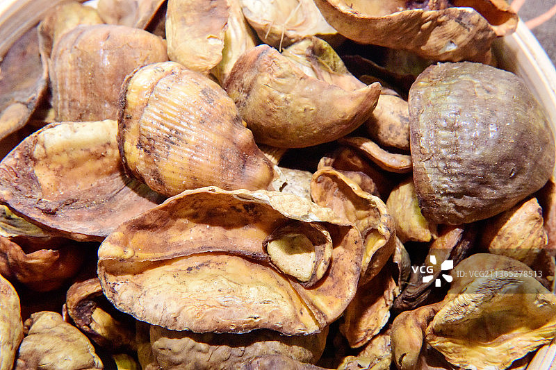 传统中医药中药材中药药用穿山甲图片素材