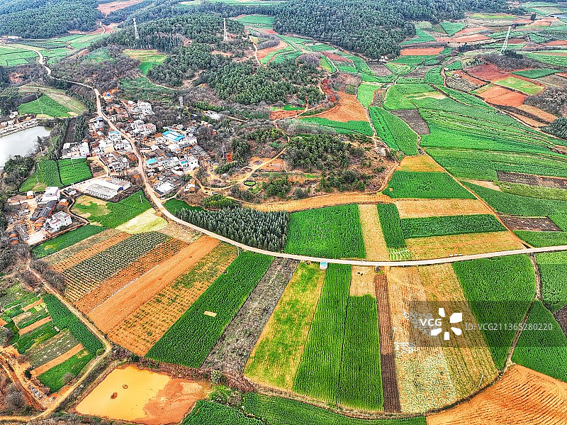 春回大地图片素材