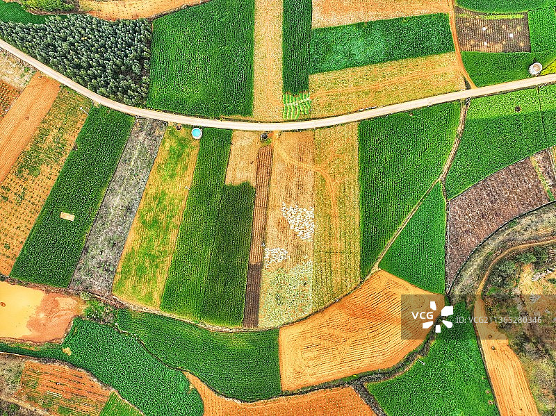 春回大地图片素材