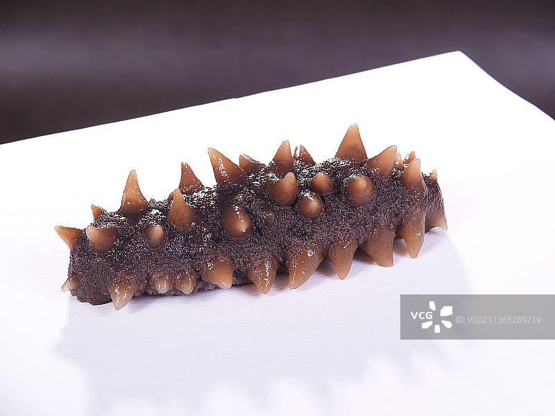 鲜活的海参图片素材