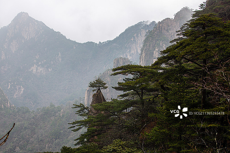 《黄山风光》图片素材