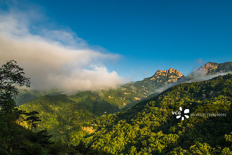 泰山五月云海风光图片素材