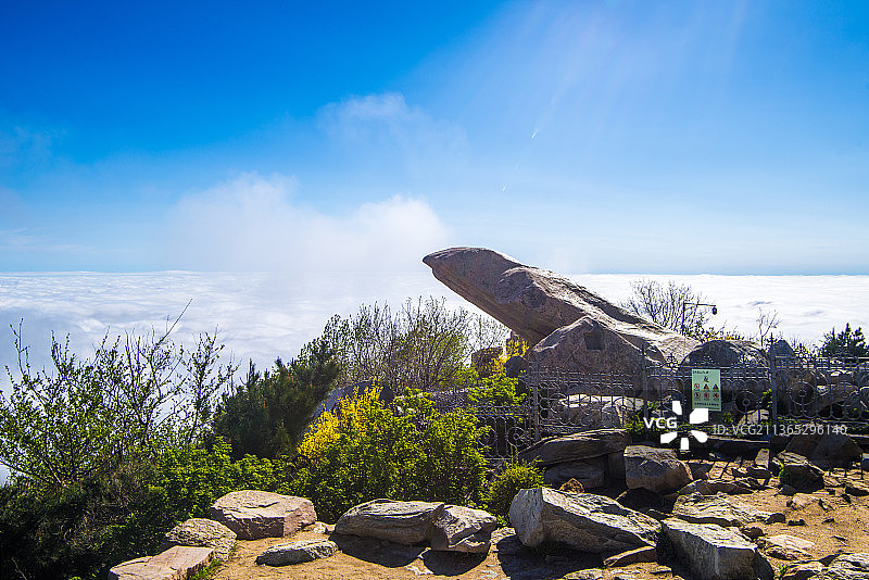 泰山五月云海风光图片素材
