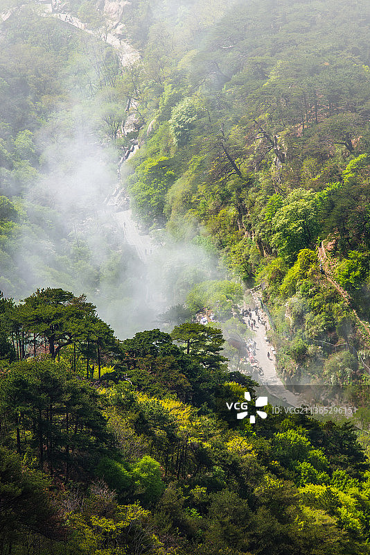 泰山五月云海风光图片素材