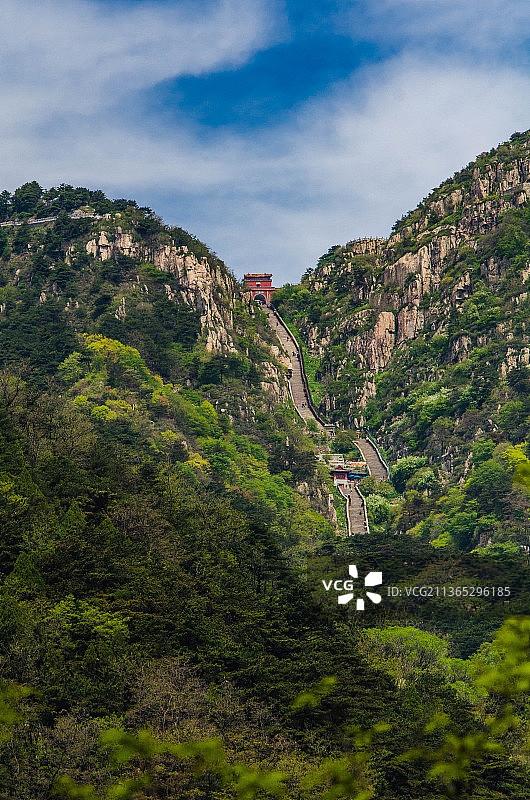 泰山五月云海风光图片素材