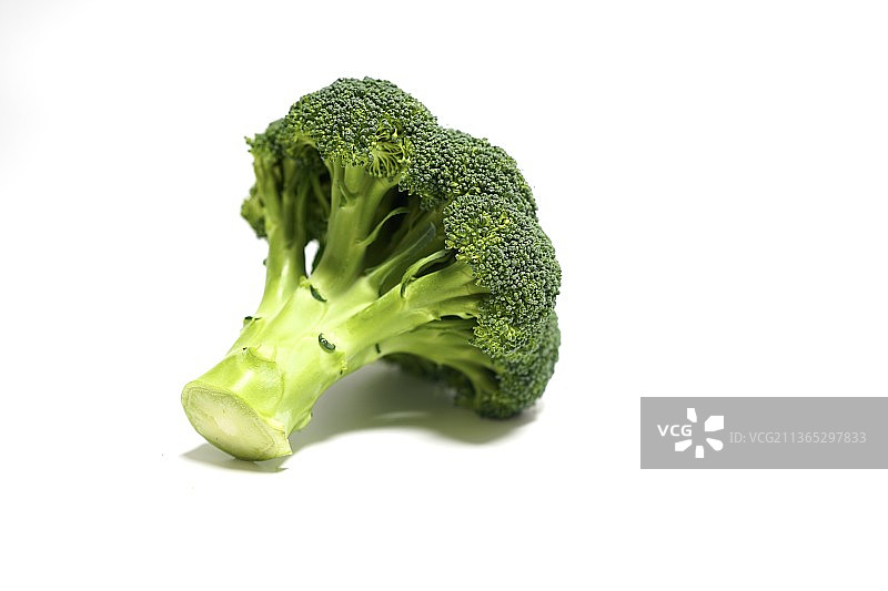 白色背景下的西兰花特写镜头图片素材