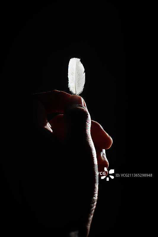 手持白花特写，背景为黑色图片素材