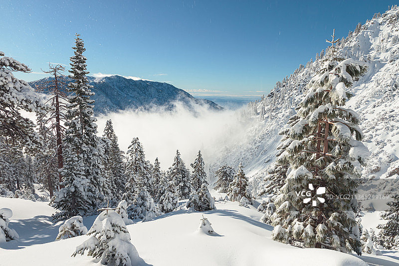 疾风，白迪山雪山风景，美国加利福尼亚州图片素材