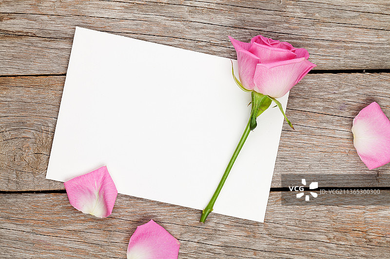 情人节贺卡或相框和粉红玫瑰图片素材