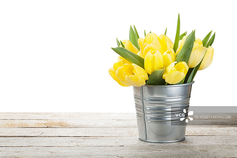 新鲜的黄色郁金香花束，在白色背景下，桌子上花瓶中黄色花的特写图片素材