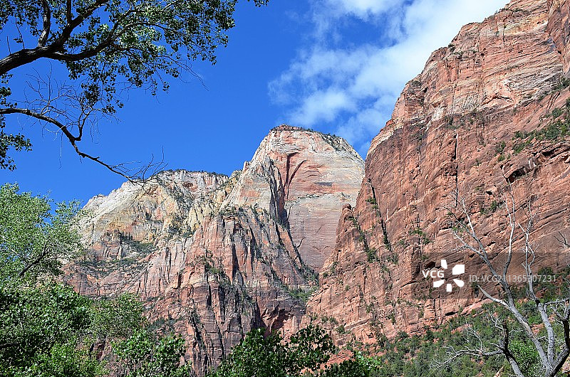 锡安国家公园岩石山脉低角度景观，美国犹他州图片素材