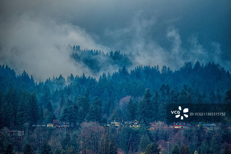 云中的森林景观，加拿大不列颠哥伦比亚省北温哥华图片素材