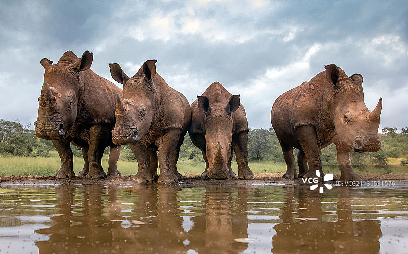 让我们只关注南非的饮酒问题图片素材