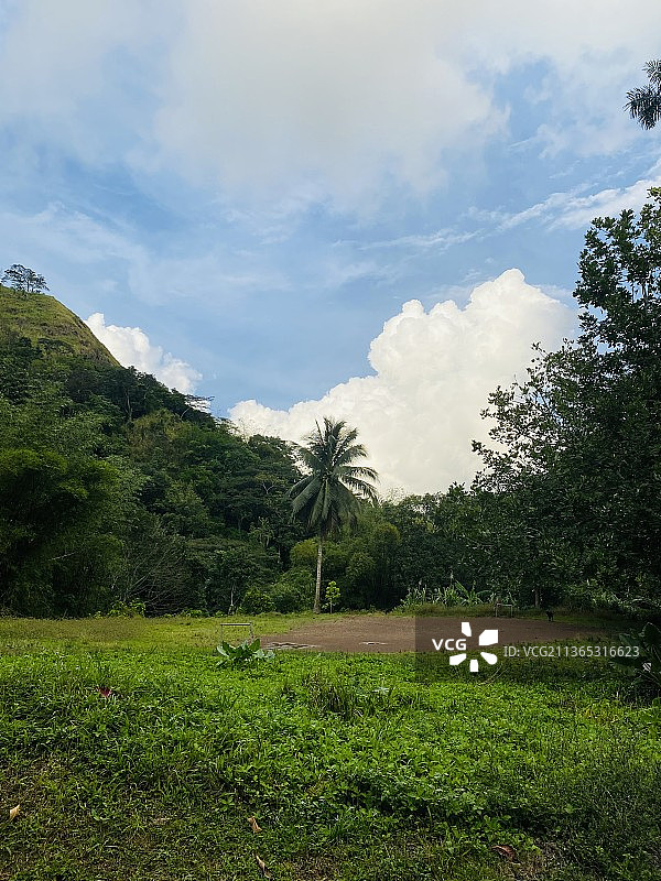 牙买加田野风光图片素材
