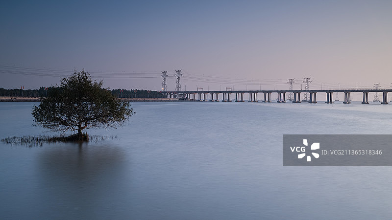 跨海大桥树影深圳宝安西湾红树林图片素材