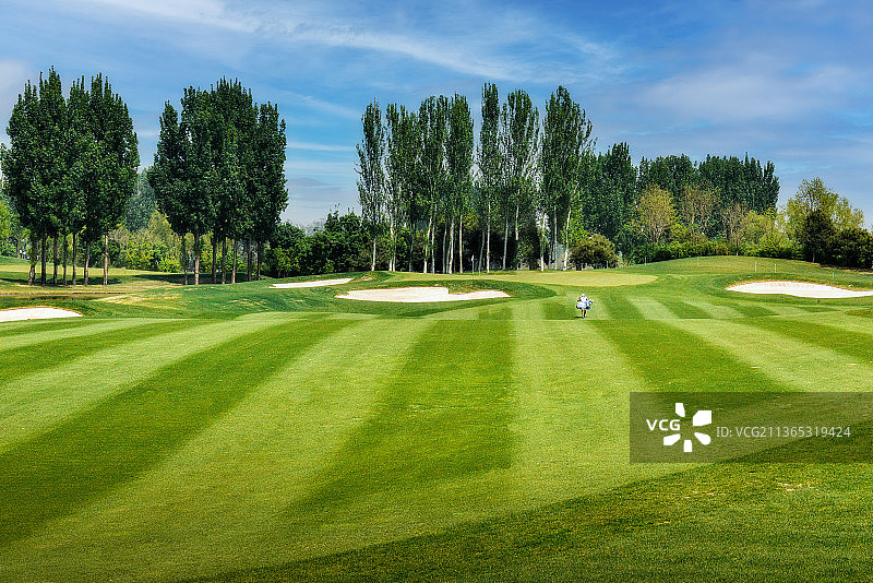 高尔夫球场图片素材