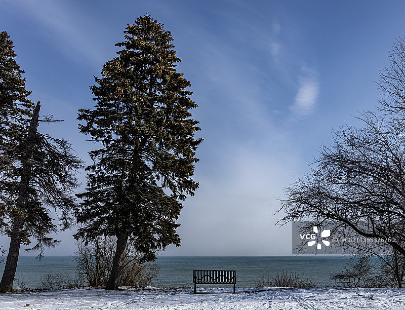 白雪覆盖的田野上的树木，映衬着天空图片素材