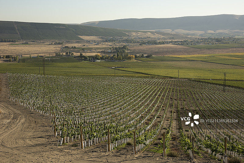 雅基马山谷红色山脉AVA，华盛顿州图片素材