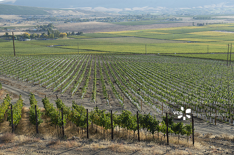 雅基马山谷红色山脉AVA，华盛顿州图片素材