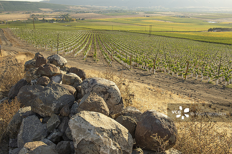雅基马山谷红色山脉AVA，华盛顿州图片素材
