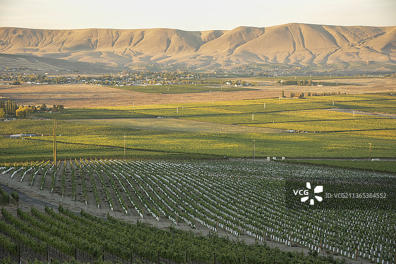 雅基马山谷红色山脉AVA，华盛顿州图片素材
