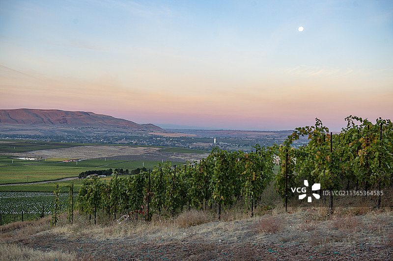 雅基马山谷红色山脉AVA，华盛顿州图片素材