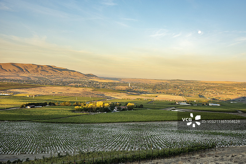 雅基马山谷红色山脉AVA，华盛顿州图片素材