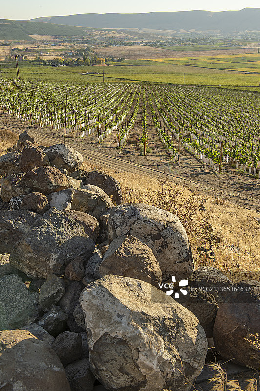 雅基马山谷红色山脉AVA，华盛顿州图片素材