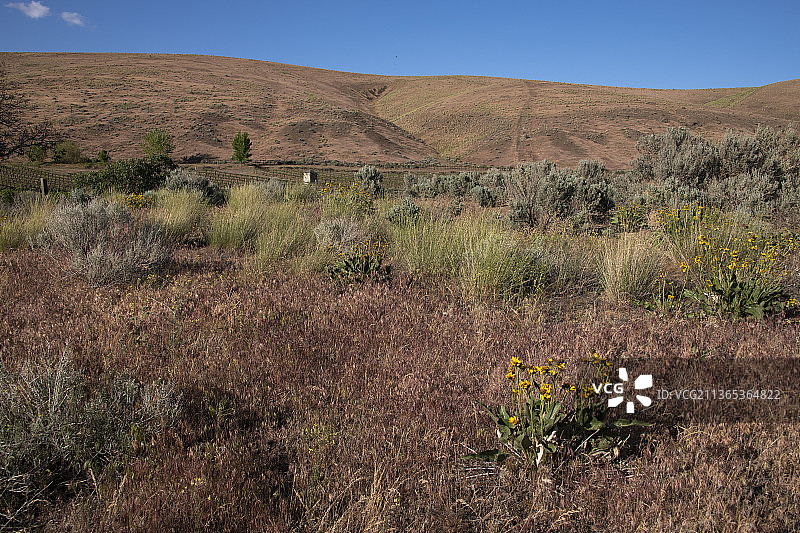 雅基马山谷红色山脉AVA，华盛顿州图片素材