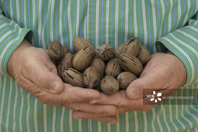 尼洛种植园，佐治亚州奥尔巴尼图片素材
