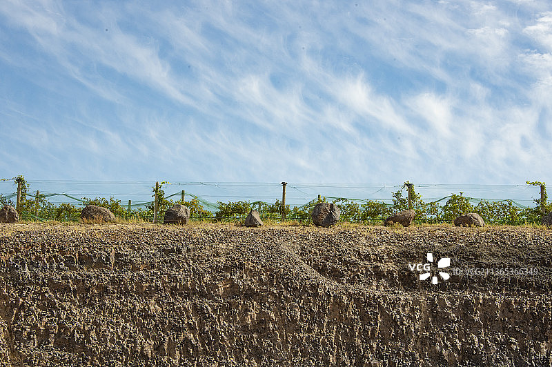 华盛顿州瓦拉瓦拉7山葡萄园图片素材