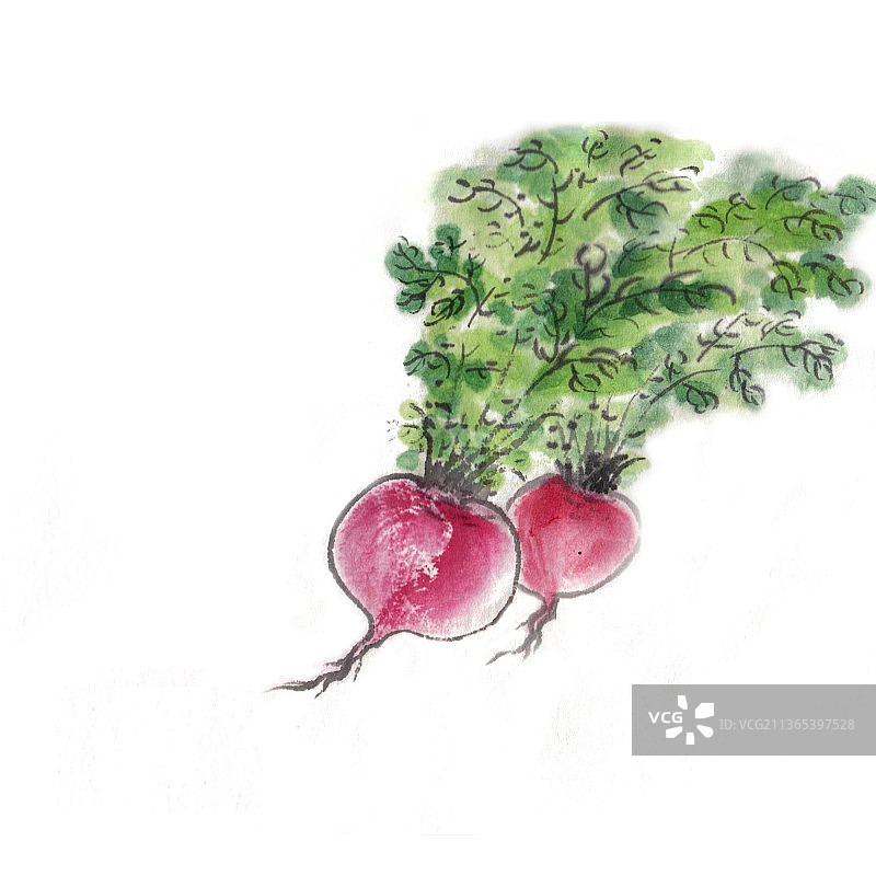 水墨插画萝卜图片素材