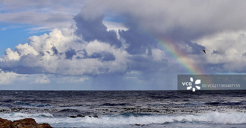 飞过彩虹图片素材
