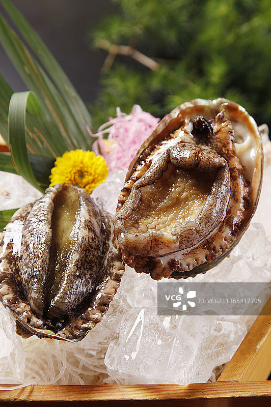 鲜活的鲍鱼图片素材