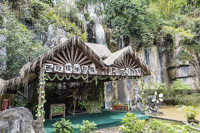 云南西双版纳原始森林公园图片素材