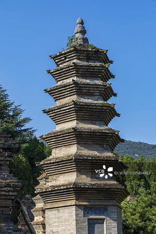 河南省登封少林寺塔林夏天户外风光图片素材