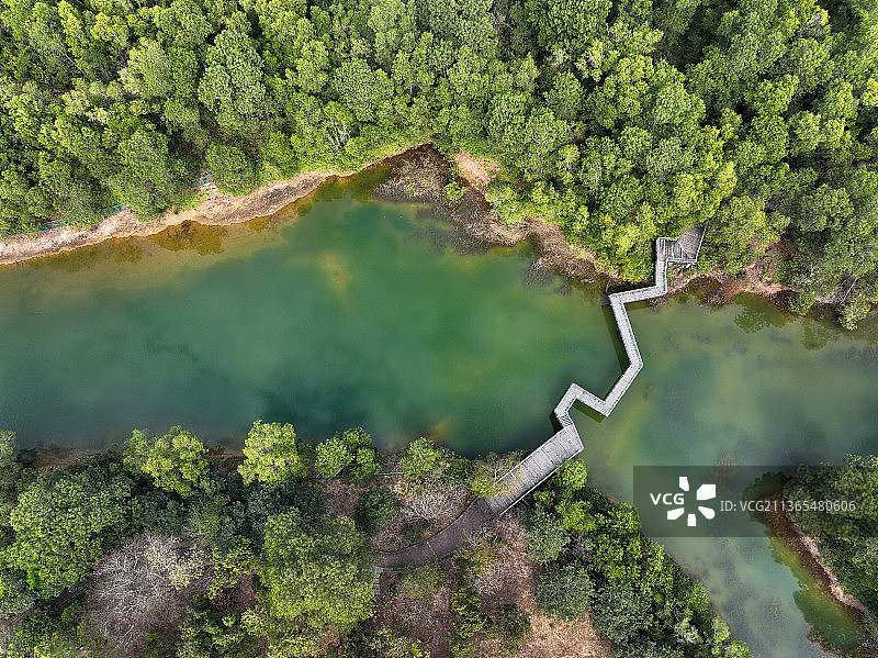 广东省深圳市坪山区聚龙山生态公园航拍图片素材