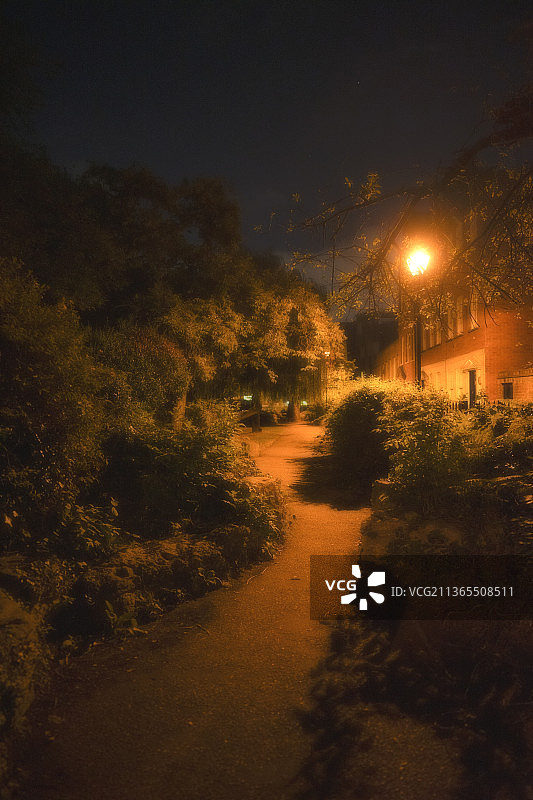 雾中的夜景图片素材